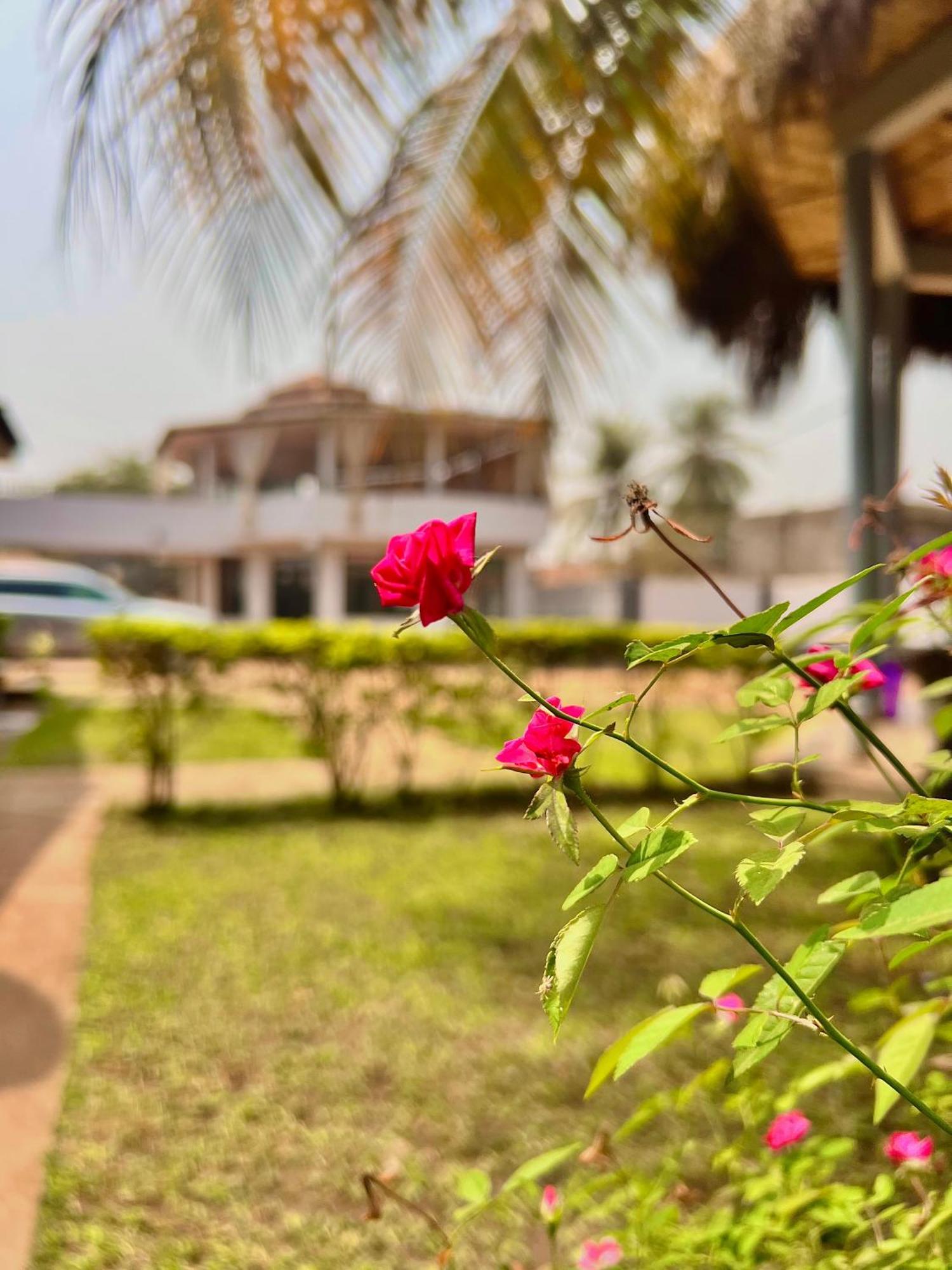 Paloma Guest House Kenema Exterior foto